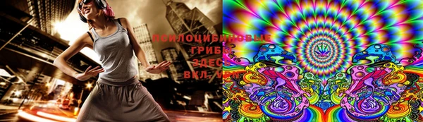 индика Наволоки