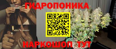 СК Гусев